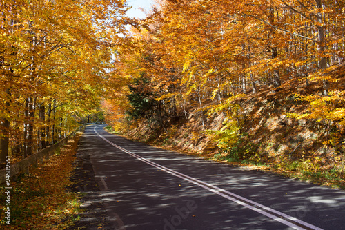 road in autumn scenery