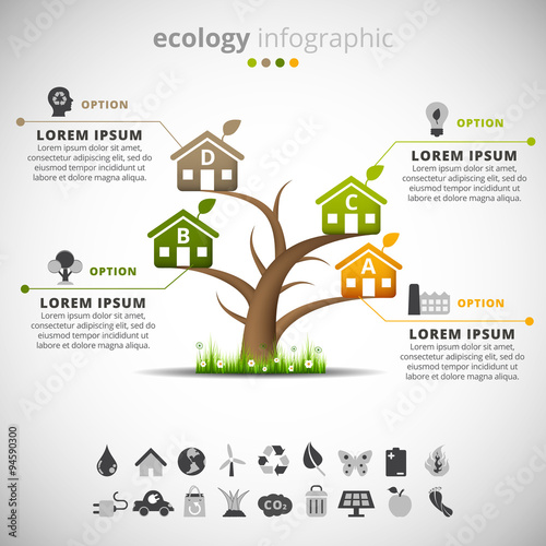 Creative Ecology Infographic