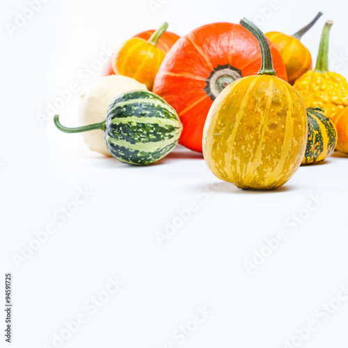 Colorful pumpkin on white background
