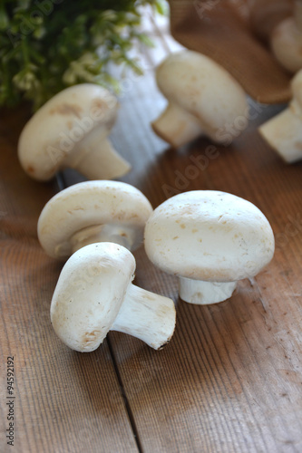 VARIOUS MUSHROOMS placed on a wooden table