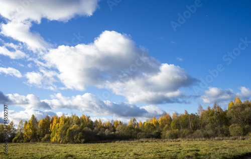 autumn forest against the blue sky