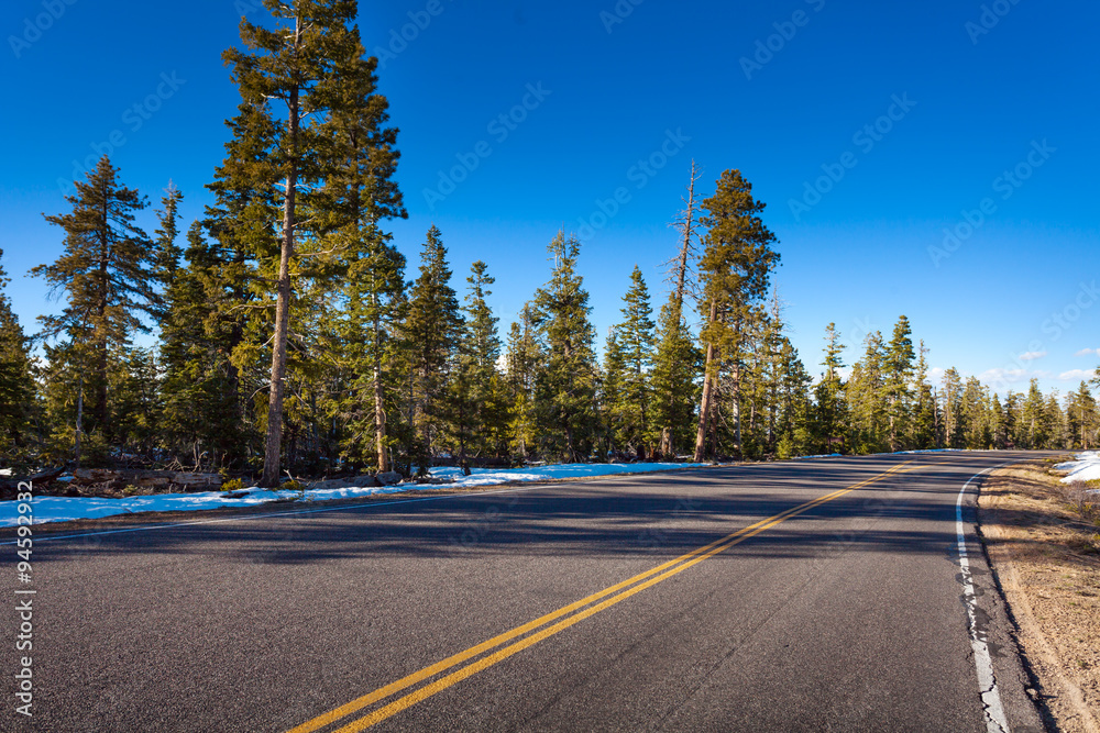 Naklejka premium Road in Bruce canyon national park at winter