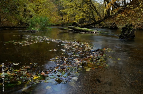 jar rzeki Raduni jesieni  