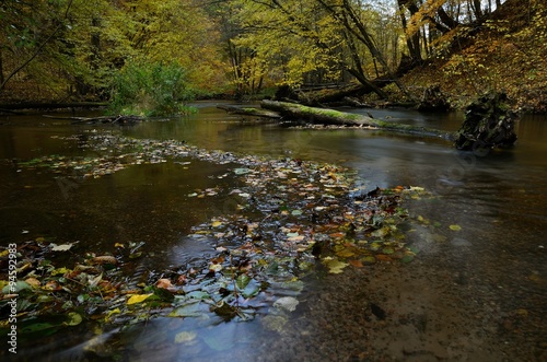 jar rzeki Raduni jesienią photo