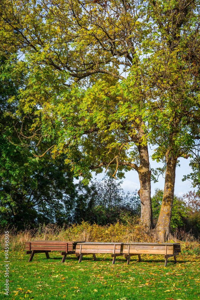 Park in the autumn with benches