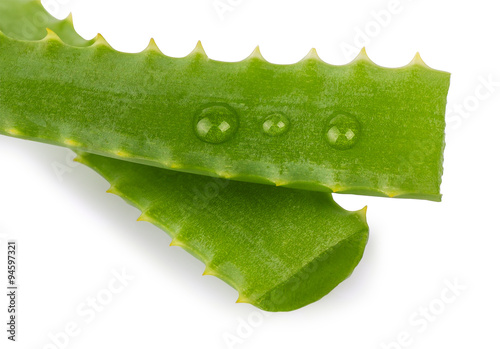 aloe vera leaves isolated on white background