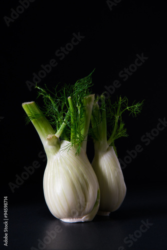 fresh fennel on dark background