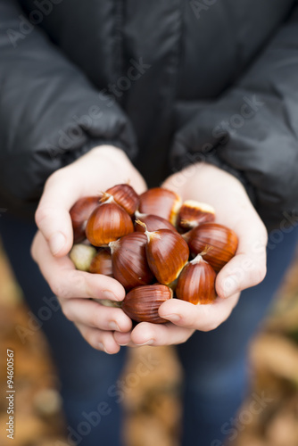 A teenage girl holding a handful of sweet chestnuts