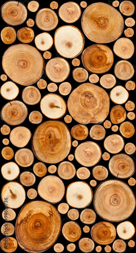 Cut tree stumps background or texture