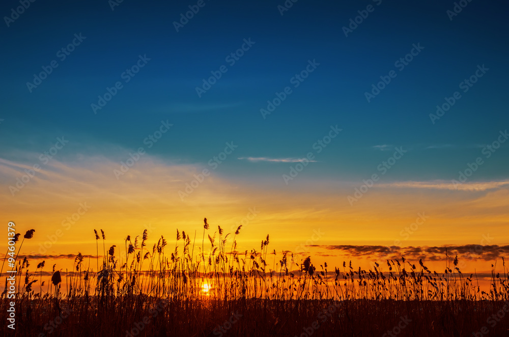 orange sunset over river with cane orange sunset over river with cane