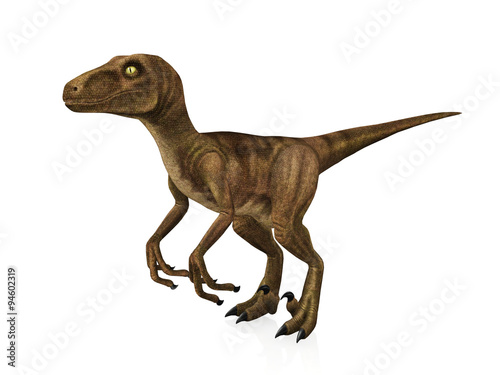 3D model Velociraptor isolated on white background © G3D Studio