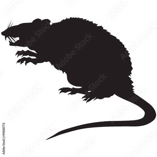 Silhouette of a gray rat