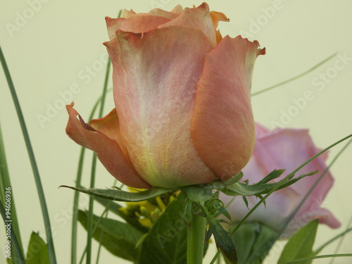 The beautiful rose in the bouquet
