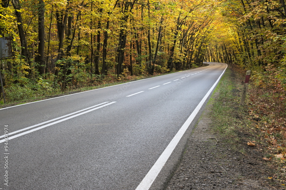 Fototapeta premium Droga przez jesienny las.