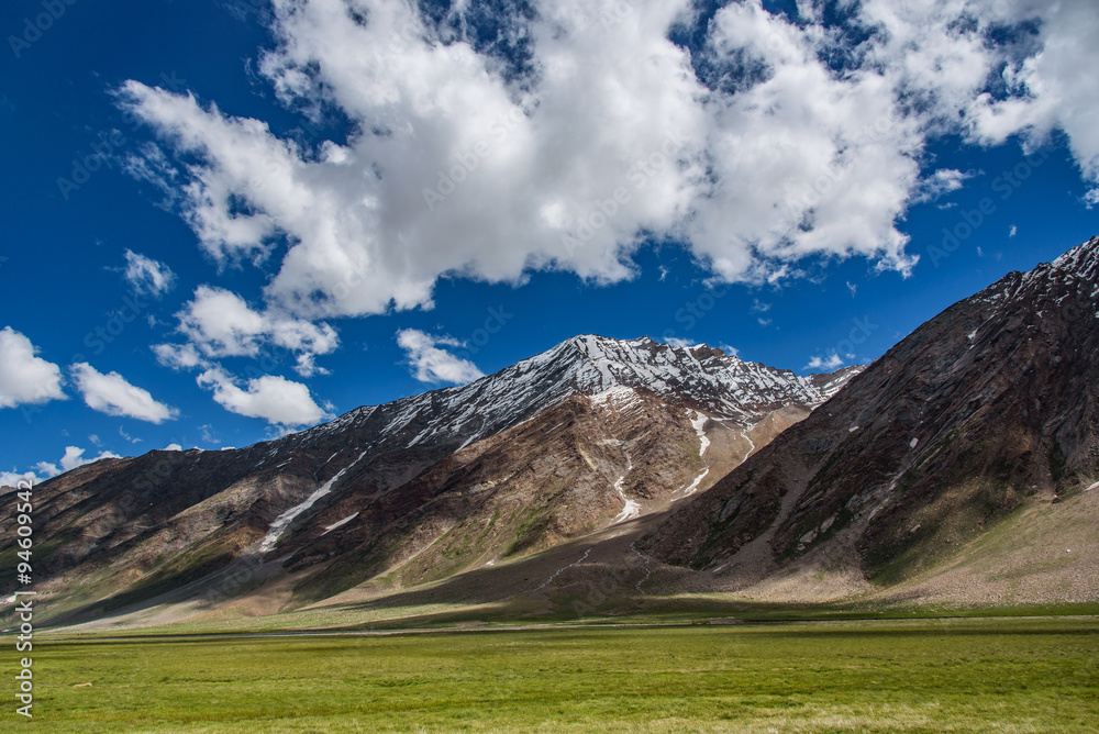 Landscape of barley field snow mountain with blue sky, India Landscape of barley field snow mountain with blue sky, India