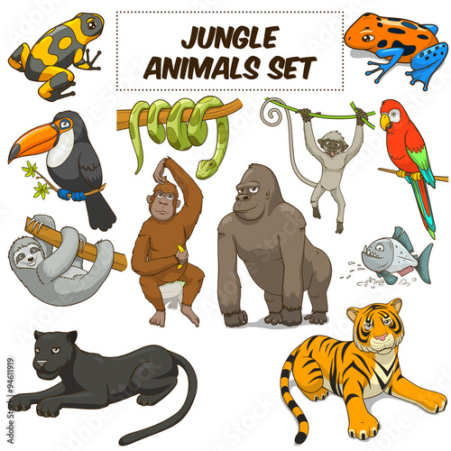 Cartoon jungle animals set vector