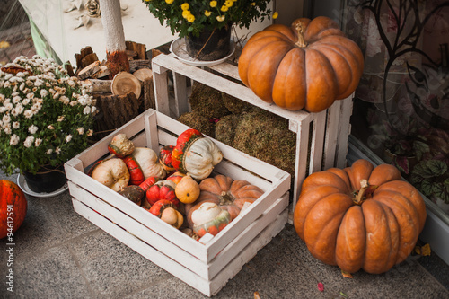 Pumpkins in a wooden box  rustic style