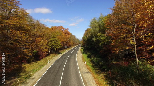 Aerial View Autumn Forest with Road photo