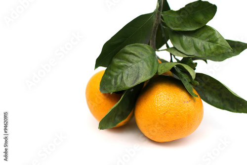 Japanese oranges and leaves