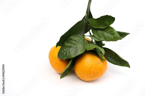 Japanese oranges and leaves #2