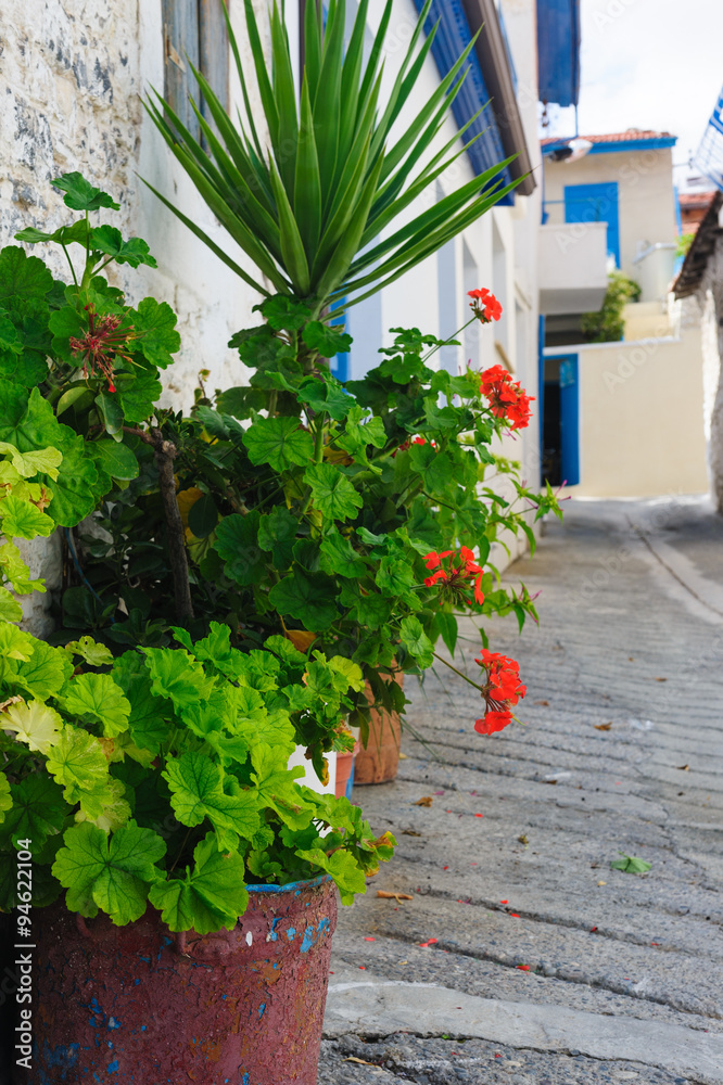 Flowers on a street in the village of Omodos Cyprus