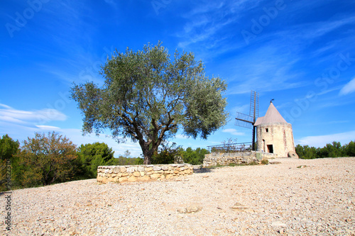 Moulin de Daudet à Fontvieille / Provence (France) photo