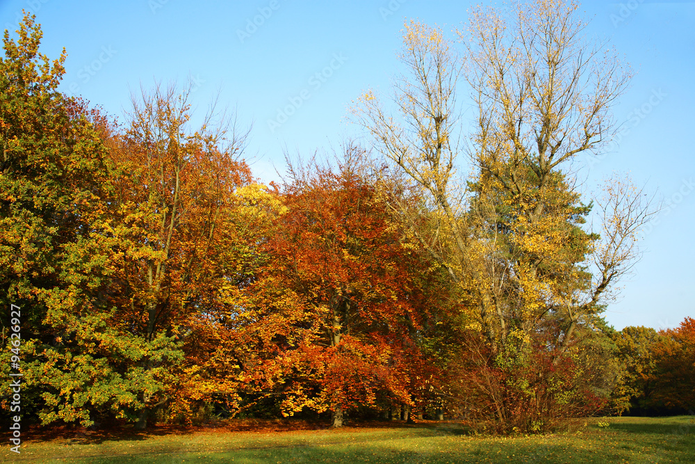 Herbstlandschaft
