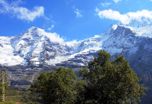 Wallpaper Mural Jungfrau in der Schweiz Torontodigital.ca