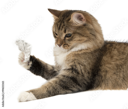 Looking gray kitten with colorful chocolate Easter eggs, isolated on white