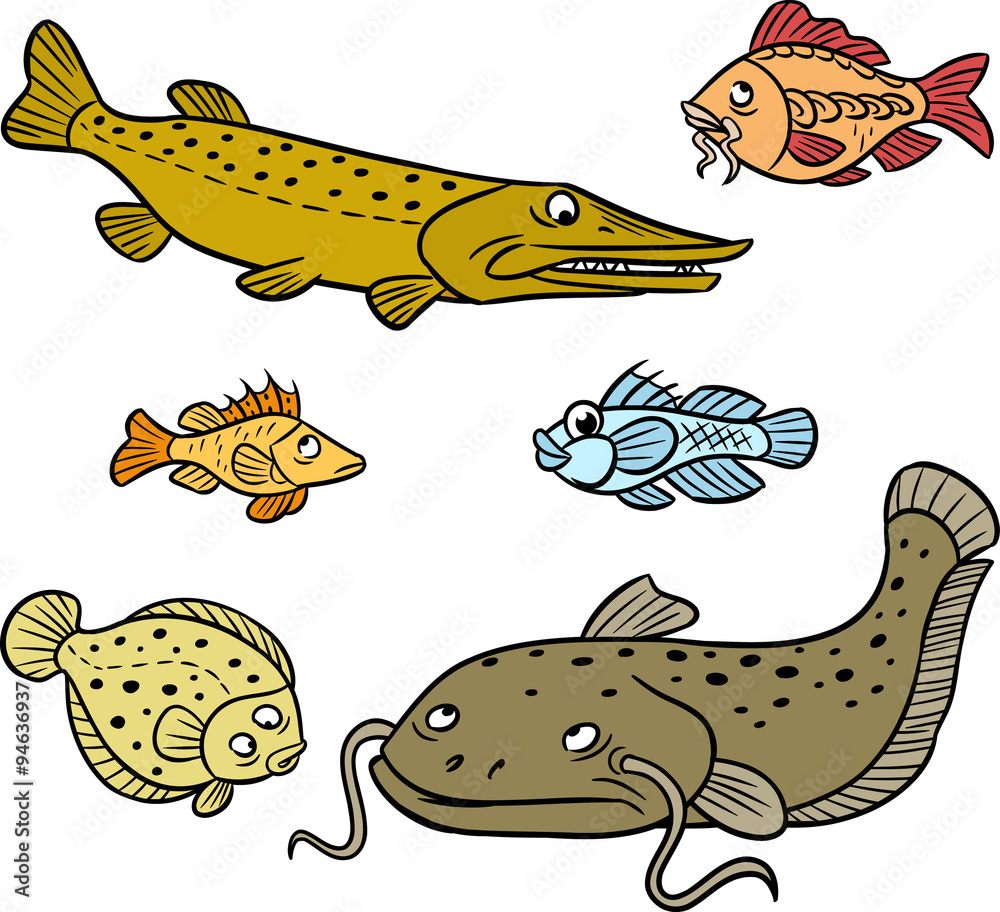 The illustration shows a group of some fish species in a cartoon style.  Stock Vector | Adobe Stock