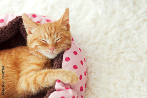 Fototapeta Naklejka Na Ścianę i Meble -  Kitten sleeping in the bed