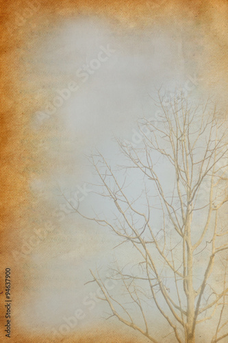 tree with old grunge antique paper texture