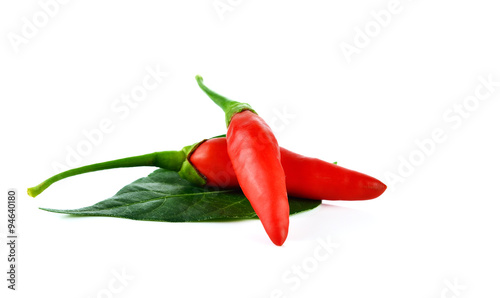 red hot bird chili pepper nature isolated on white background
