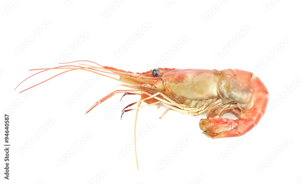 Grilled tiger prawn isolated on white background