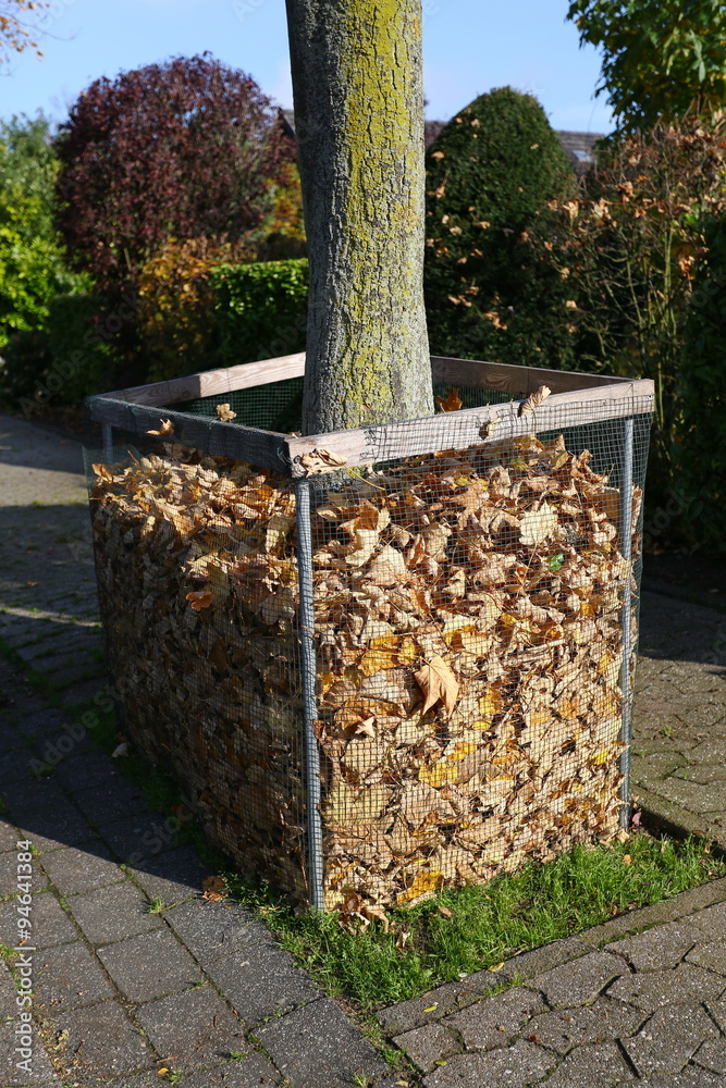 Laubkorb im herbst Stock Photo | Adobe Stock