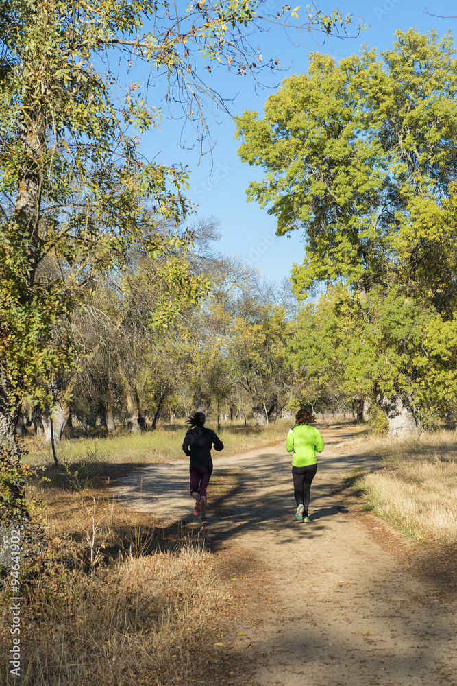 Deportes individuales al aire libre, correr y saltar en contacto con la naturaleza Deportes individuales al aire libre, correr y saltar en contacto con la naturaleza