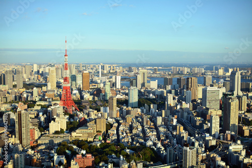 日本 東京の都心のスカイラインと東京タワー