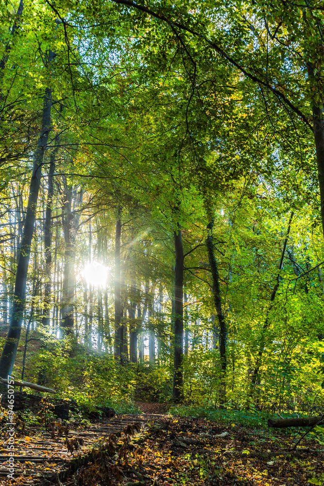 Obraz premium quellenthal