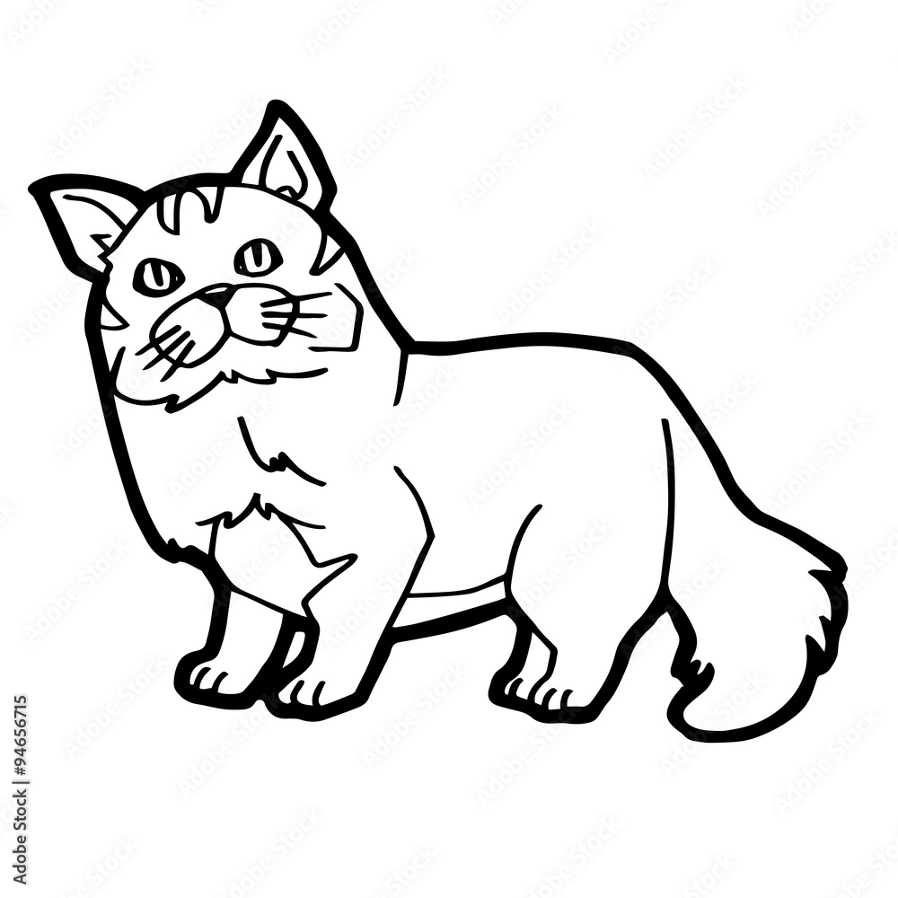Fototapeta premium cartoon Cat Coloring Page for kid isolated on white 