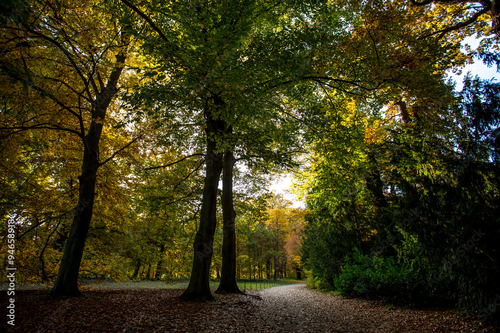 Naklejka premium Herbsttag im Wald