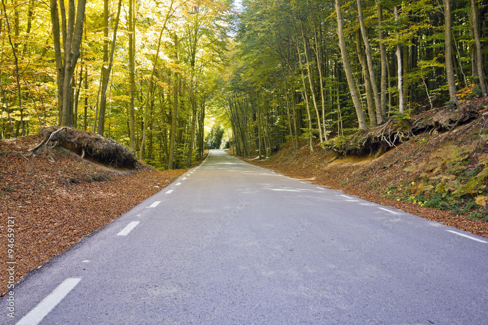 Obraz premium Montseny road