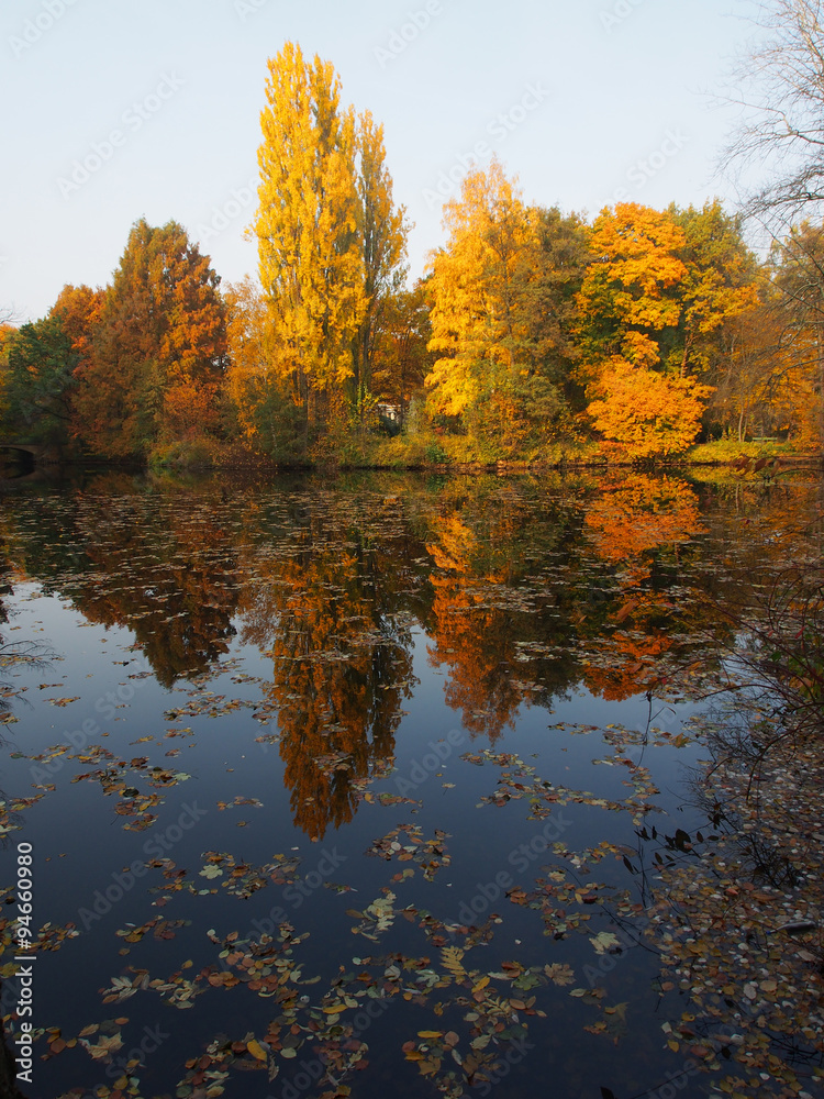 Wasserläufe, goldener Oktober im Tiergarten Park, Berlin