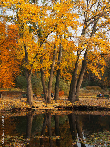 Wasserläufe, goldener Oktober im Tiergarten Park, Berlin