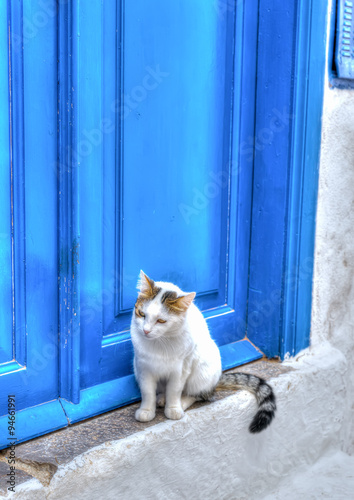 At Hydra island in Greece