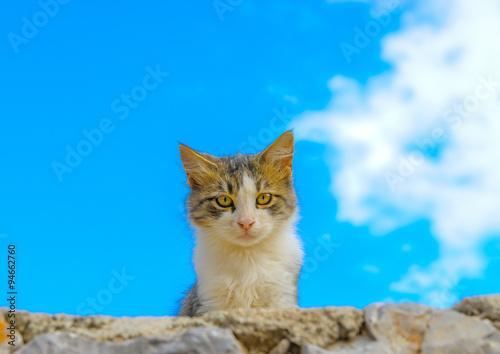 At Hydra island in Greece