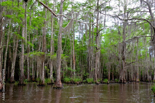 Louisiana Bayou, marshy swamp lands