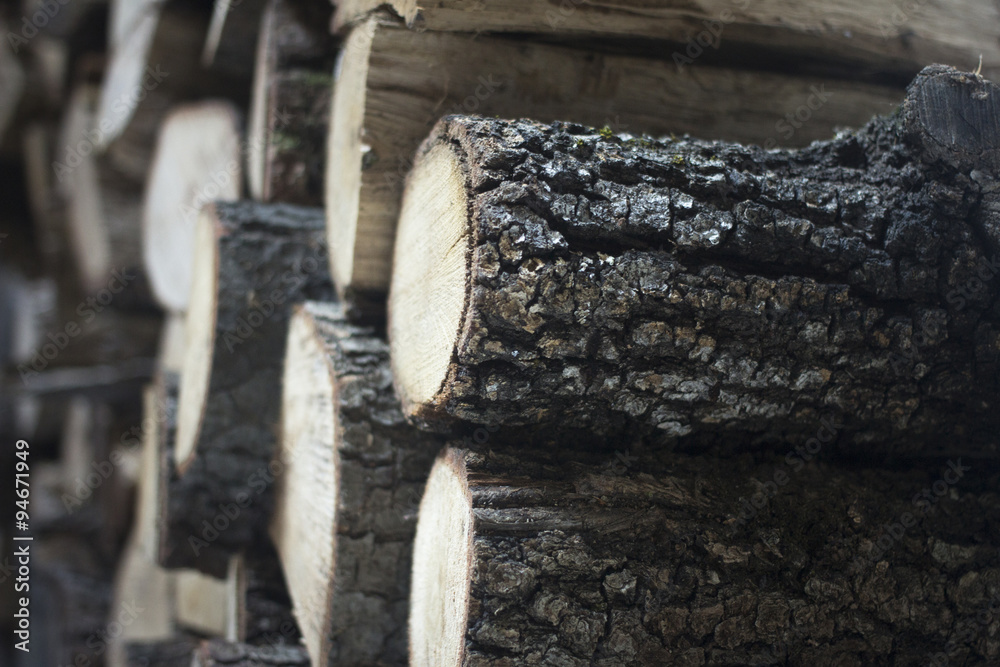 Fototapeta premium Chopped firewood for house fireplace