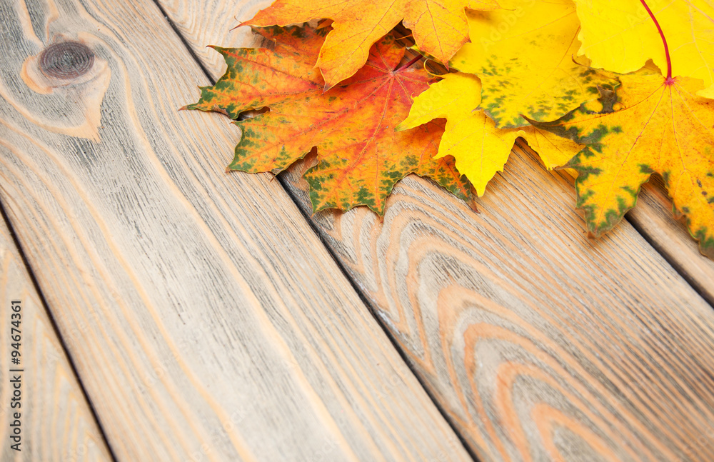 Obraz premium autumn wooden background with colorful maple leaves
