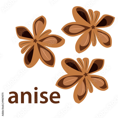 vector illustration of anise star