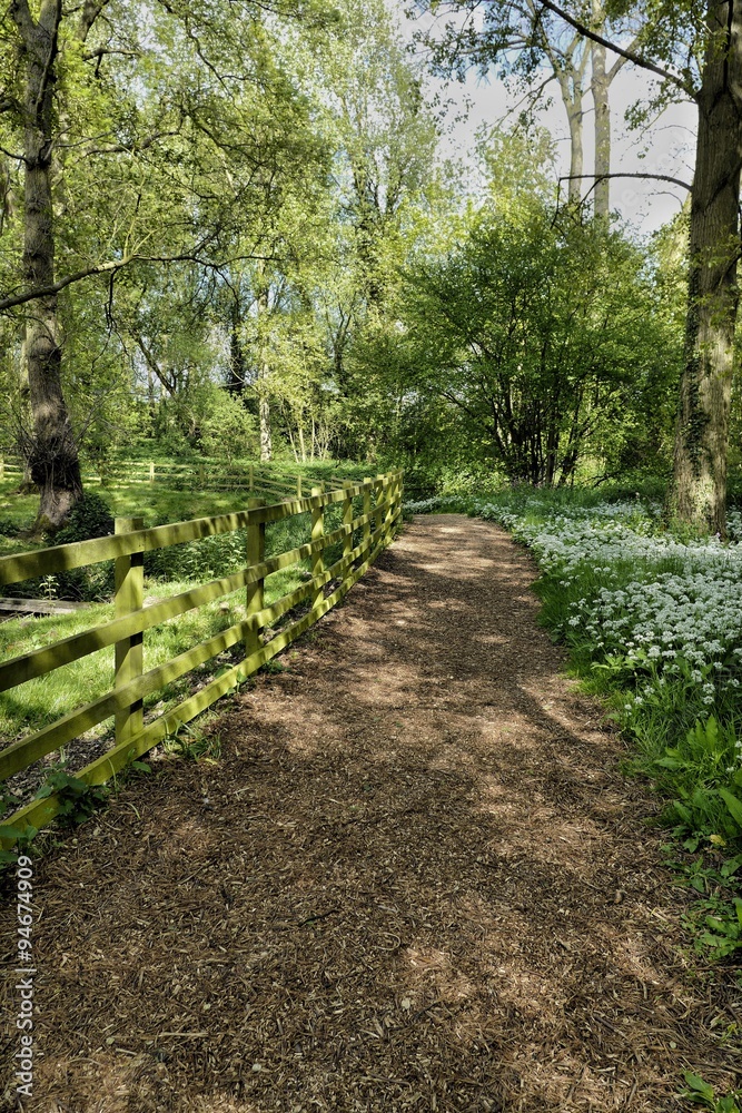 woodland trail woodland trail